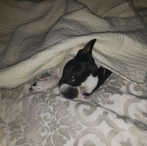 Meet your Posher, Mary katherine